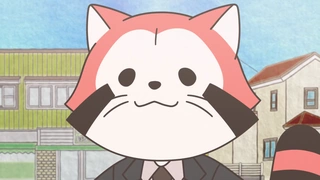 Araiguma Calcal-dan - PV1