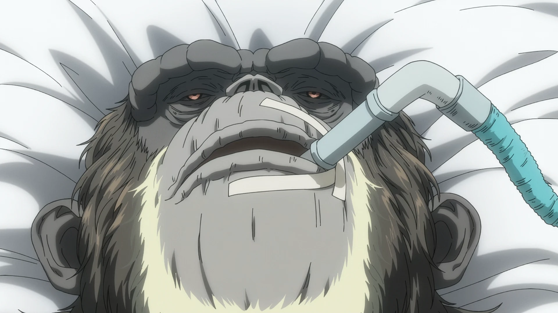 达尔文事变 第13话