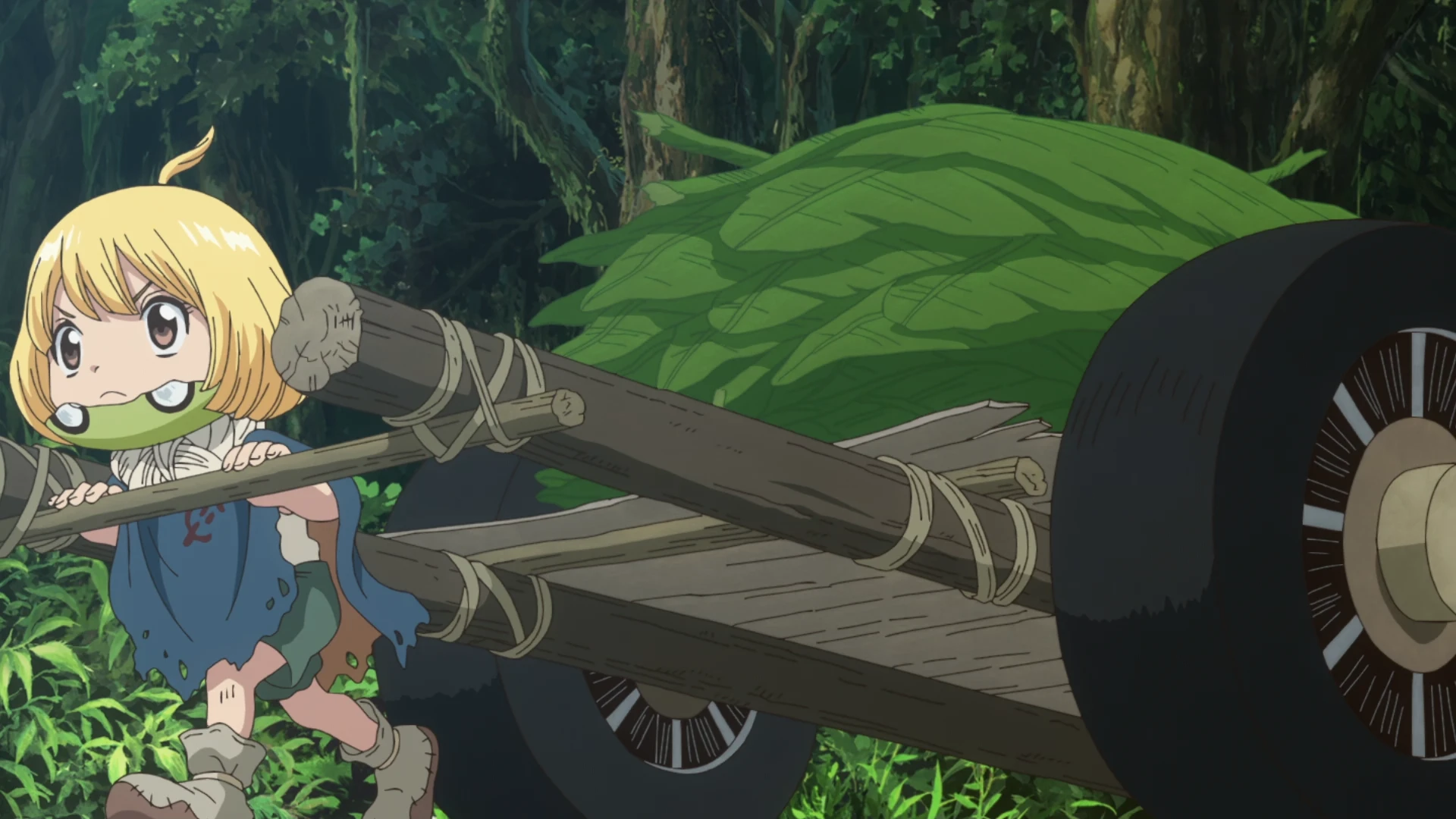 石纪元 科学与未来 第2部分 第23话