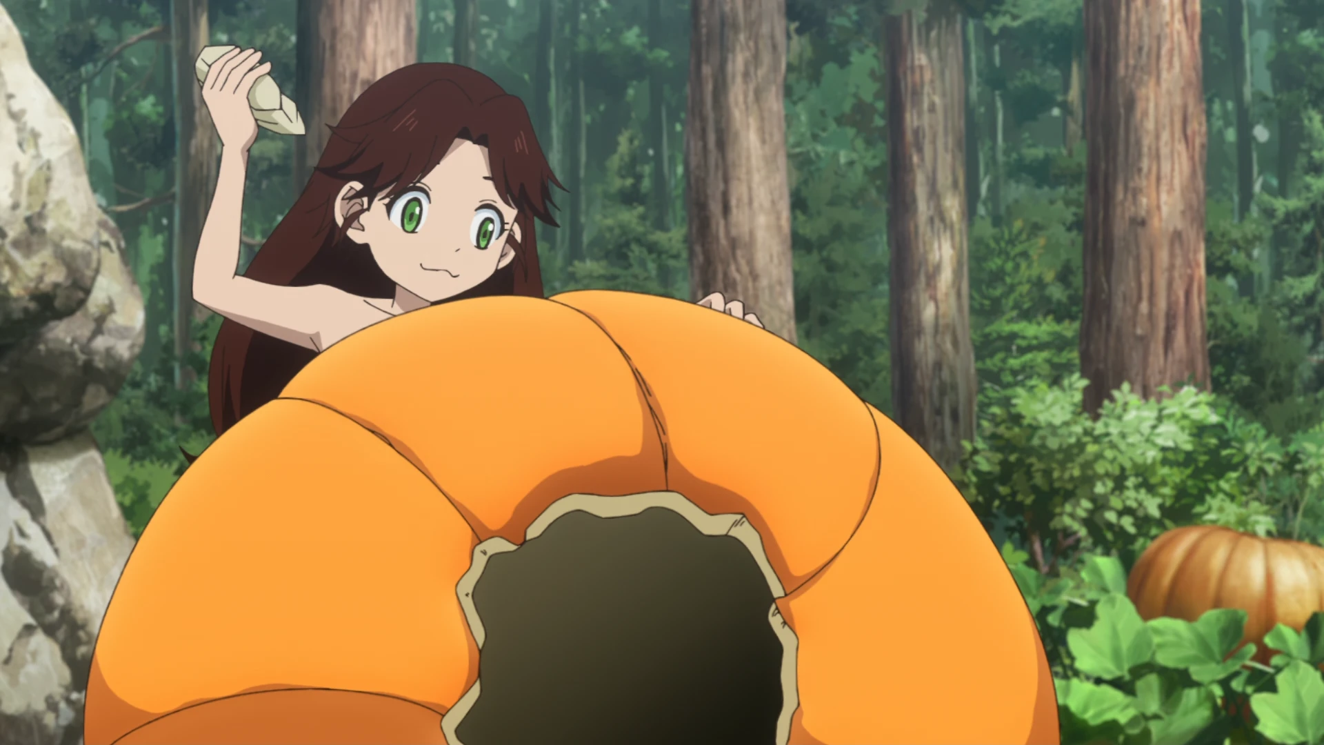 石纪元 科学与未来 第2部分 第14话