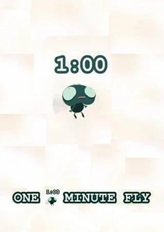 One Minute Fly