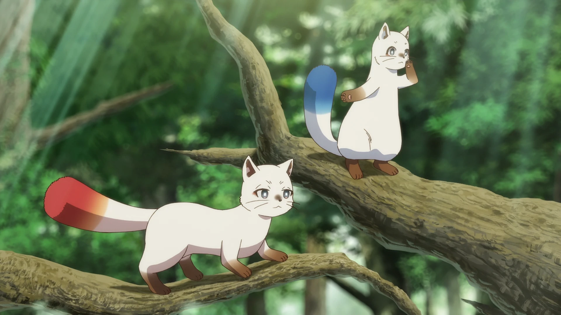 楠木邸的神明庭院 第2话