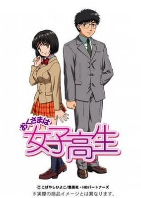 Okusama wa Joshikousei (TV)