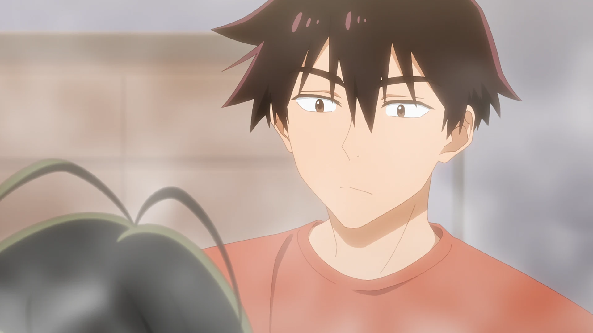 紫云寺家的孩子们 第1话