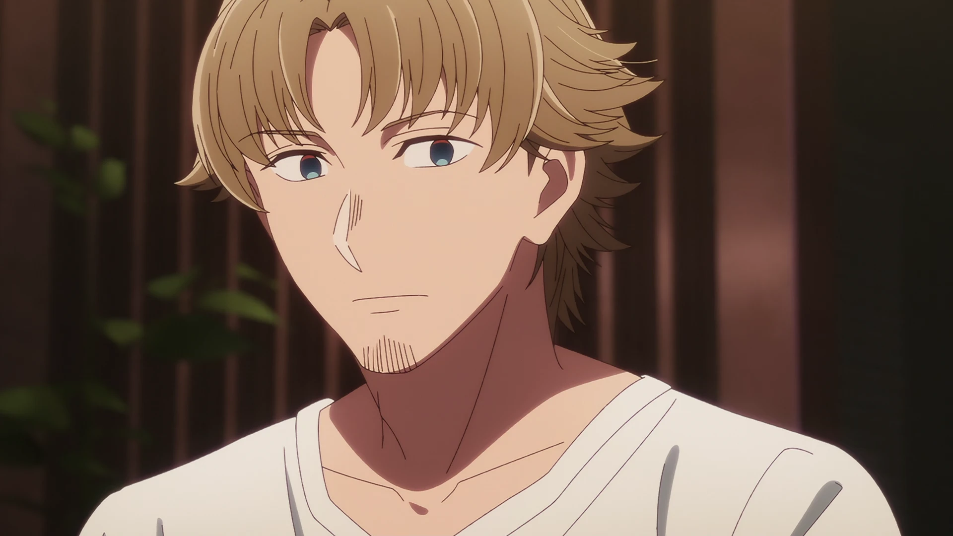 【我推的孩子】 第三季 第29话