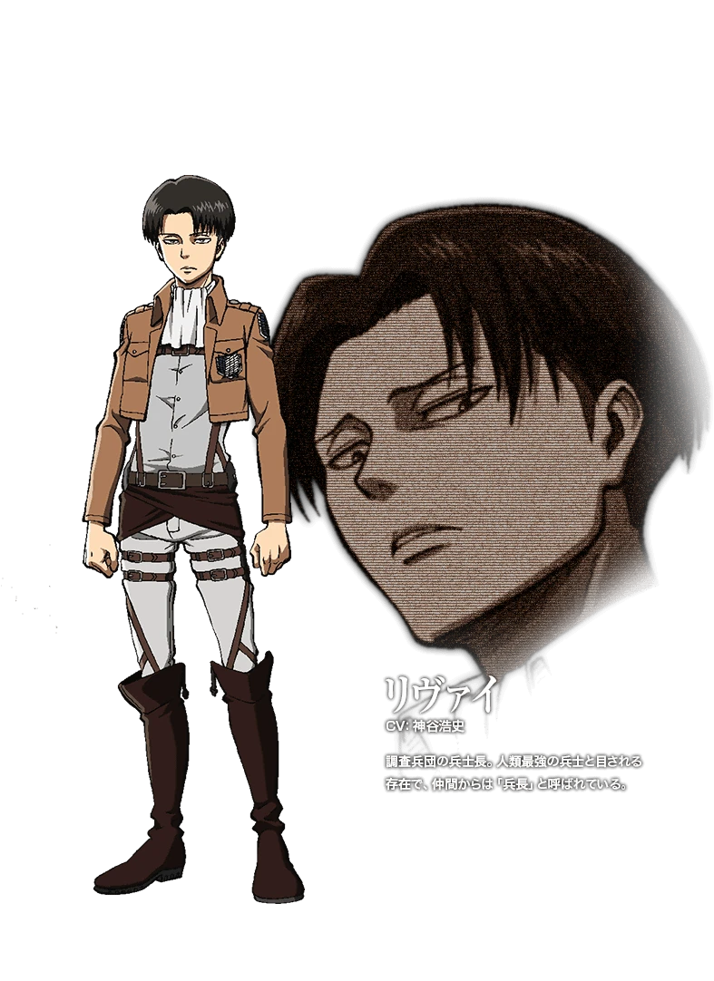 Levi