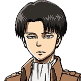 Levi