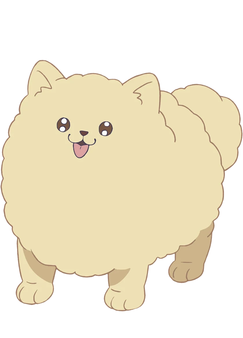 ぽん太